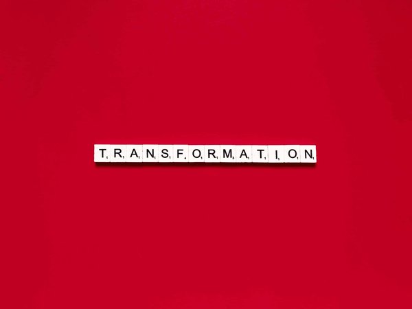 Quels sont les secrets derrière la transformation de livres méconnus en best-sellers incontournables ?